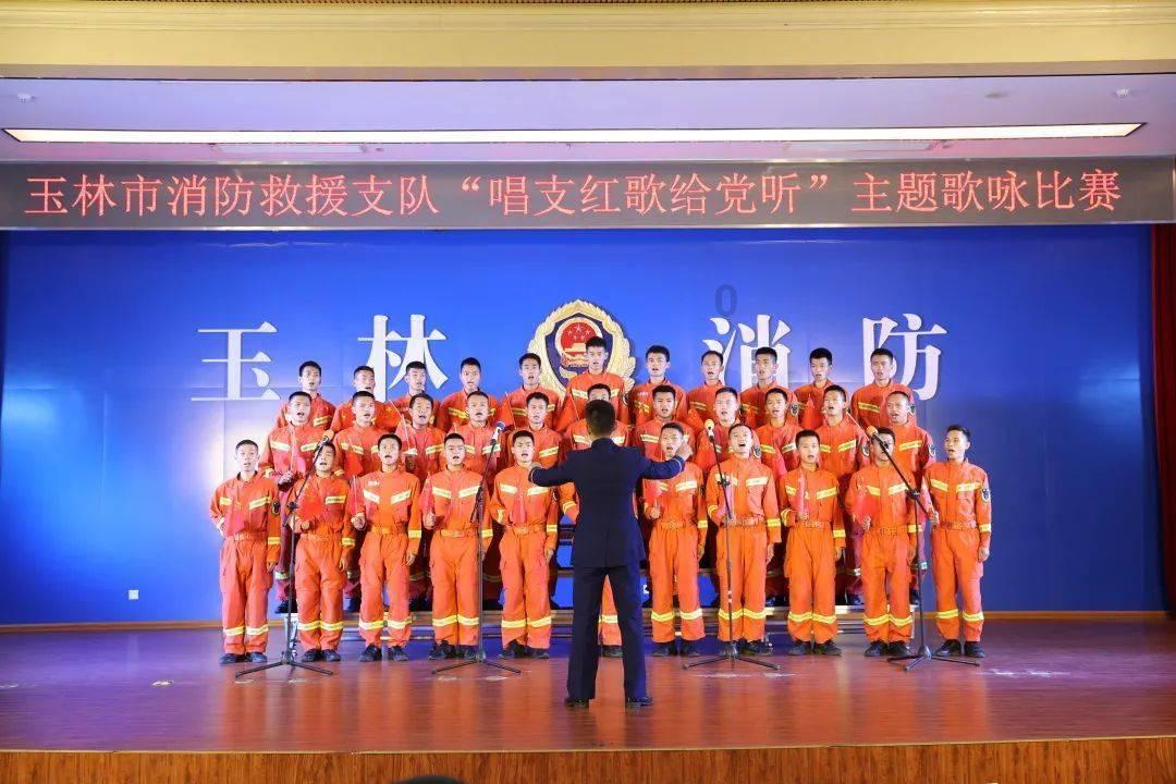 动物帮帮忙保卫家园